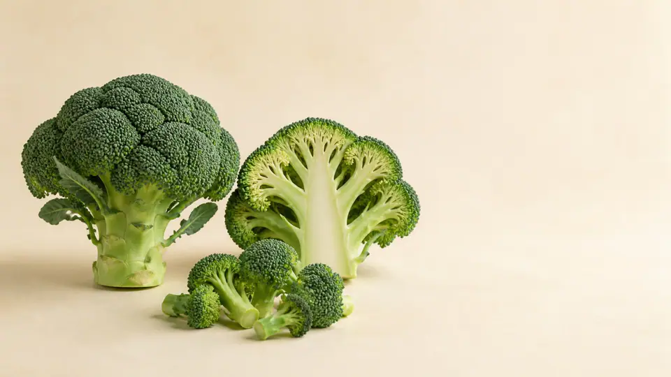 Representative image of broccoli