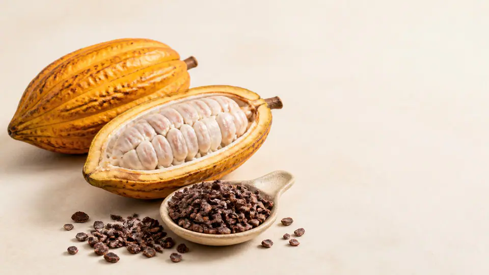 Hình ảnh đại diện cacao nibs