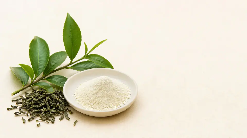 Hình ảnh đại diện của L-theanine